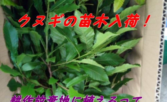 たかお農機店 お問合せtel 0598 32 4675 三重県松阪市飯南町の農機具店 各種農機具の販売 修理を取り扱うほか 薪ストーブや獣害対策品も取り扱っています 移住者さんの田舎暮らしを全力で応援しています メーカー問わず 修理対応できます お勤めの方にも農作業